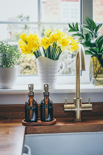 Daffodils in jug vase on windowsill of a modern kitchen