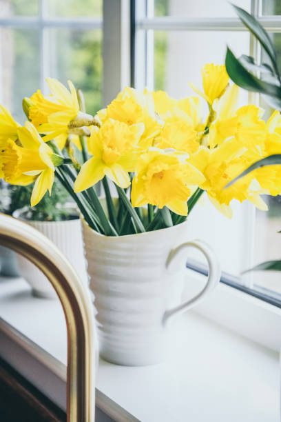 istock Bunch of Daffodils on kitchen windowsill 1483124215