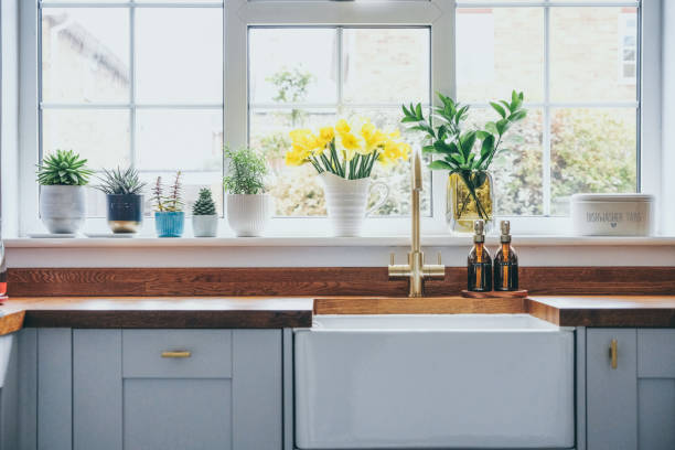 istock Bunch of Daffodils on kitchen windowsill 1483124236