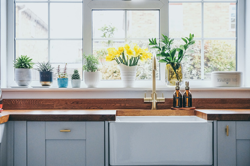 Daffodils in jug vase on windowsill of a modern kitchen
