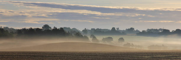 Misty fields on a summer morning in Sjaellan, Denmark. stock photo