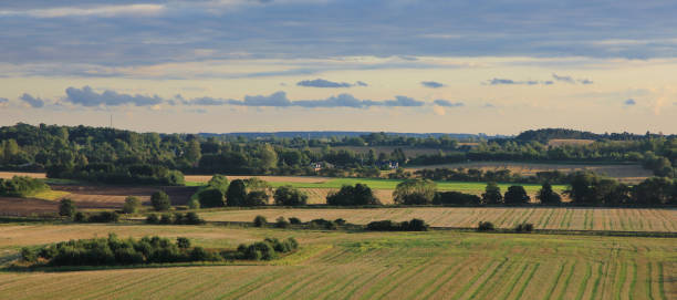 Bright green fields. Rural landscape in Naestved, Denmark.