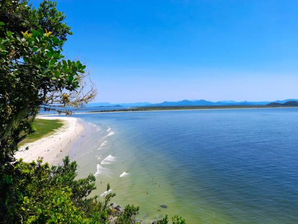 istock The beautiful beach with blue water 1483124412