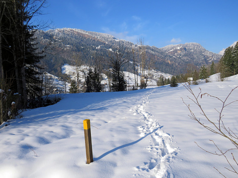 Hiking markings and orientation signs with signposts for navigating in the idyllic winter ambience on the Alpstein mountain massif and in the Swiss Alps - Nesslau, Switzerland (Schweiz)