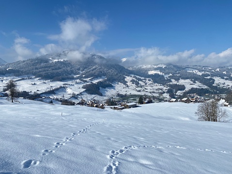 Winter snow idyll in the Thur river valley (or Thurtal) between the Alpstein and Churfirsten mountain massifs, Nesslau - Obertoggenburg region, Switzerland (Schweiz)