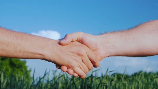 Two male farmers shake hands. Against the background of a green field and a blue sky. Deal in agribusiness concept stock photo