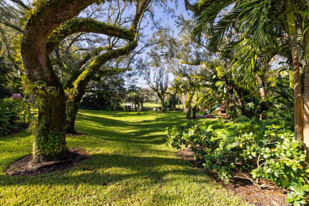 Facade of the colonial mansion in Coral Gables The facade of the colonial mansion in Coral Gables is an architectural masterpiece, with a cobbled driveway, surrounded by tropical vegetation and a stunning turquoise awning. The short grass and the blue sky make the place magical. driveway colonial style house residential structure stock pictures, royalty-free photos & images