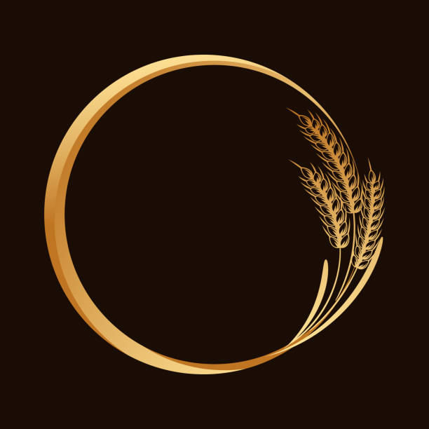 밀, 호밀, 보리, 둥근 프레임의 작은 이삭. 골드 배지 - wheat whole wheat cereal plant rye stock illustrations