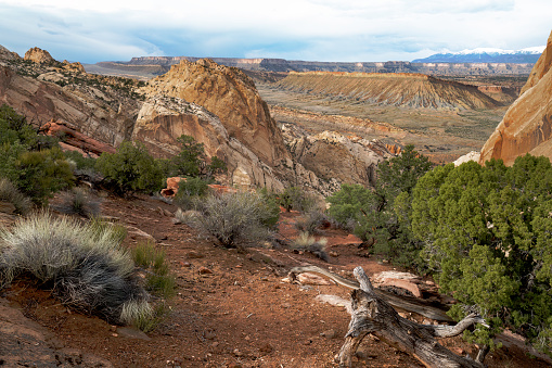 This image of the Waterpocket Fold and the  Strike Valley and distant snow covered Henry Mountains is from the top of the Burr Trail, a road that winds through Long Canyon, just outside of Boulder Utah in what  is now Escalante National Monument.