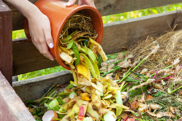 istock A woman throws kitchen waste, vegetable and fruit peels from a bucket into a composter. Close-up of a woman's hand with a bucket, recycling kitchen waste in a composter in the backyard. Copy space. 1483132318