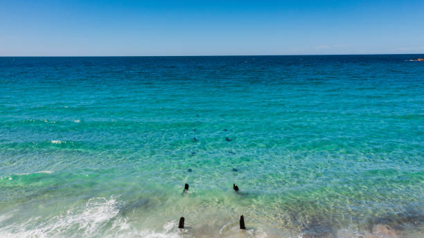 The remains of a jetty or pier underneath the clear waters ofa South Australian beach