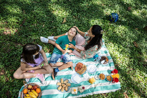 Family doing a picnic at the park