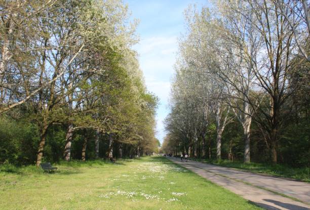When spring begins, the park becomes wonderful