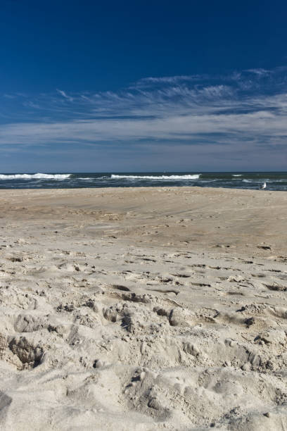 istock Atlantic ocean at a distance - Assateague, MD, USA 1483139671
