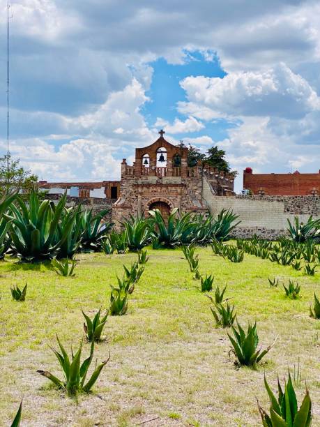 hacienda chimalpa | apan, hidalgo - hidalgo photos et images de collection