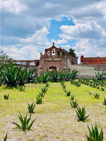 The Hacienda Chimalpa, as part of the State of Hidalgo in Mexico, at its peak, was characterized by its large productions of Pulque, the quintessential Mexican drink that made this hacienda one of the most important in the country, generating great contributions to the area.