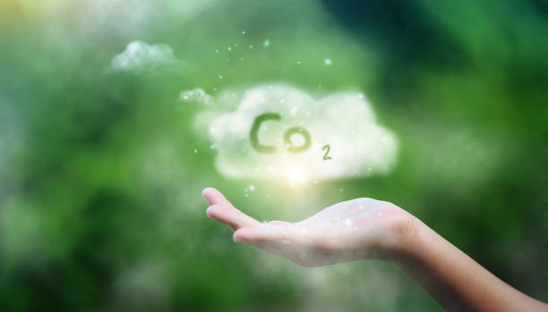 Conceito de redução de emissão de CO2. Conceito de redução de emissões de CO2 em conjunto com ícones ambientais,. Desenvolvimento sustentável. - foto de acervo