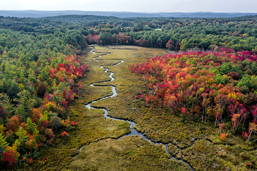 Drone shot of a creek during fall foliage