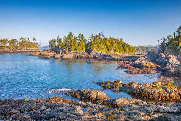 Rocky coastline at Pacific Rim National Park, near Tofino, Vancouver Island, Canada.