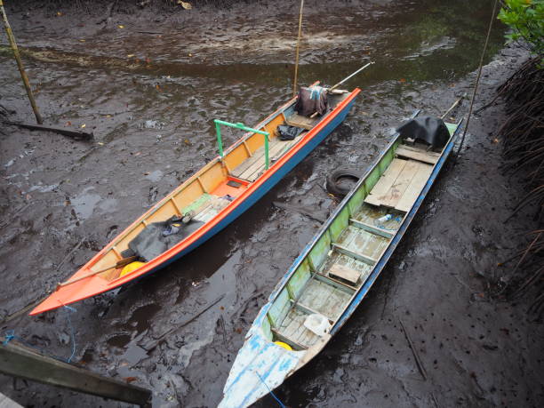 Small wooden boat leaned between mangrove trees. on the mud, part of coastal marine