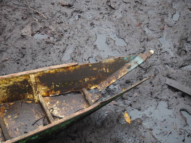 Broken small boat on the mud in coastal marine, east borneo, Indonesia