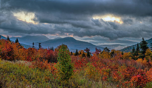 istock Along the Kancamagus Highway in late autumn 1483150948