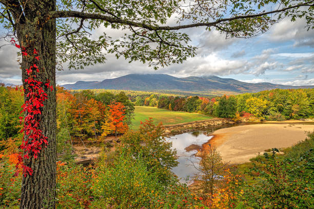 istock Along the Kancamagus Highway 1483150952