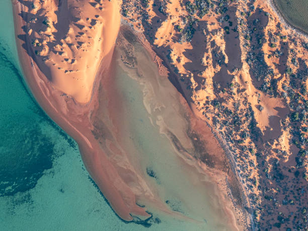 istock Aerial view of sandy coastline 1483151076