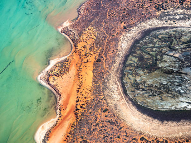 istock Aerial view of remote coastline 1483151162