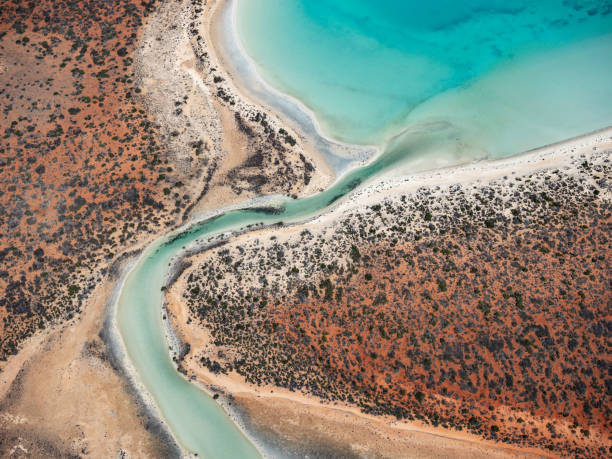 istock Aerial view of turquoise lagoon 1483151193