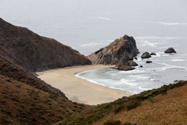 istock Tomales Point hiking trail above McClures Beach 1483154982