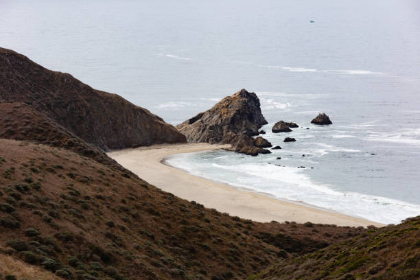 istock Tomales Point hiking trail above McClures Beach 1483155004