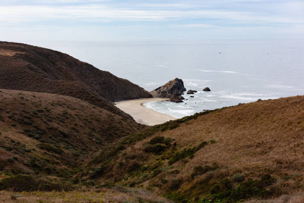 istock Tomales Point hiking trail above McClures Beach 1483155026