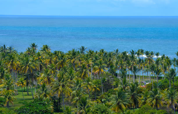 istock Landscape view from Arraial d'Ajuda - Bahia 1483156085