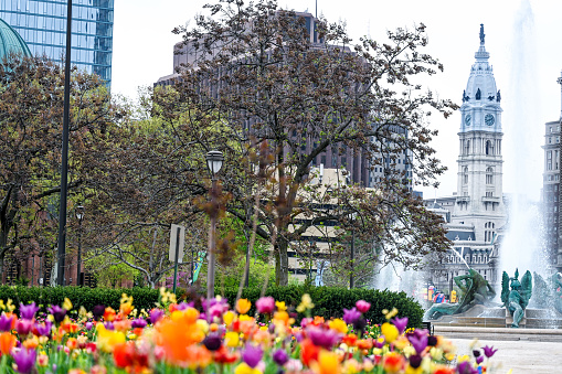 Spring in Philadelphia city