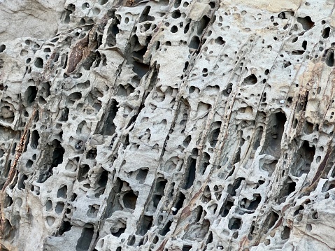 Horizontal closeup photo of honeycomb weathering by salt water, sun and wind on grey coastal sandstone rock at the Pass beach, Byron Bay, NSW.