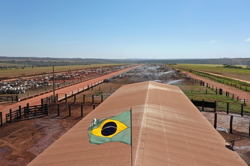 beautiful brazilian flag on farm