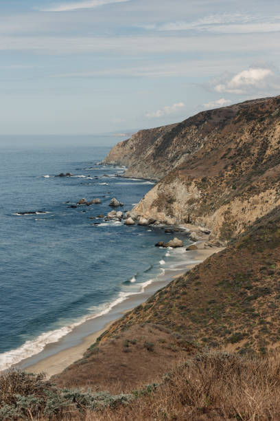 istock Point Reyes Coastline in the Elk Reserve 1483158703