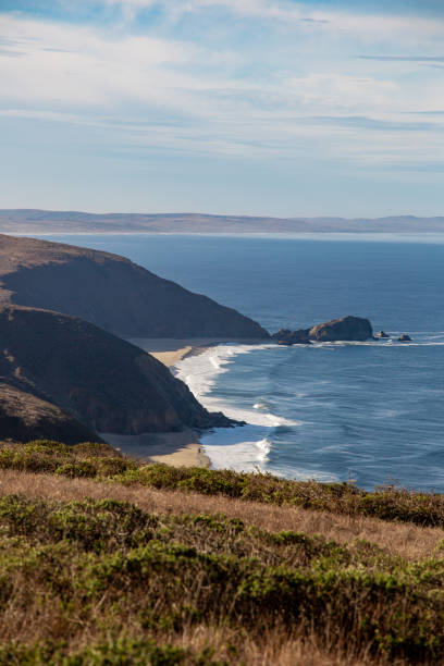 Tomales point trail hiking overlooking coastline