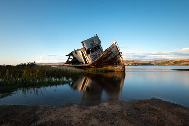istock Shipwreck in Inverness California at Point Reyes 1483159335