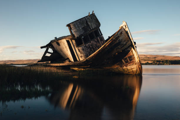 istock Shipwreck in Inverness California at Point Reyes 1483160170