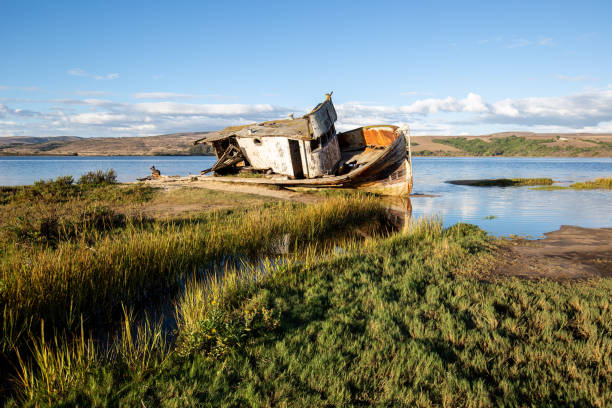 istock Shipwreck in Inverness California at Point Reyes 1483160212