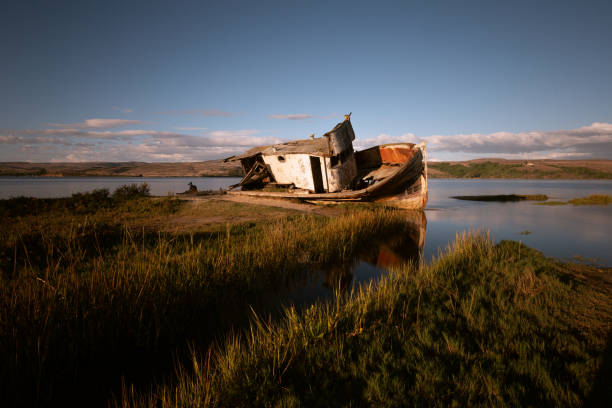 istock Shipwreck in Inverness California at Point Reyes 1483160317
