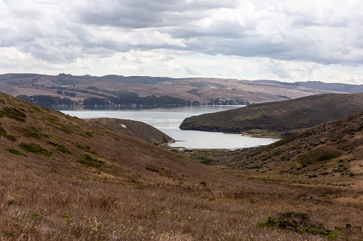 Tomales bay from tomales point hiking trail