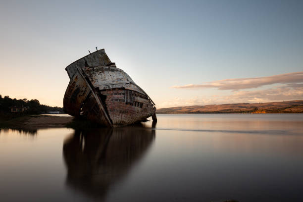 istock Shipwreck in Inverness California at Point Reyes 1483160439