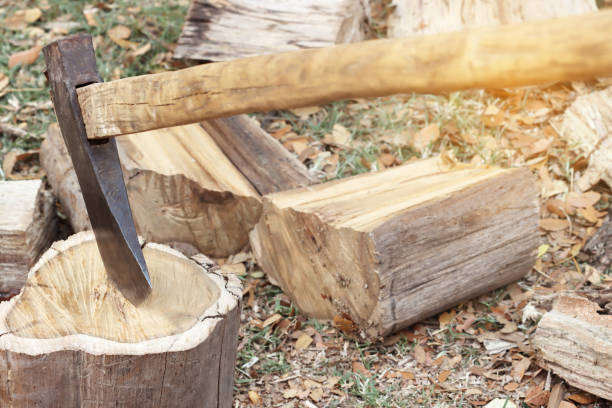 istock Ax wood firewood tree nature 1483160503