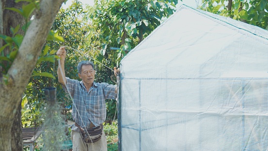 An senior Asian man building a small greenhouse at home, senior lifestyle, active retirement
