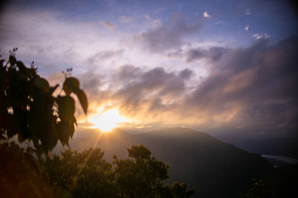istock cloudy sky landscape in summer sunset 1483161445
