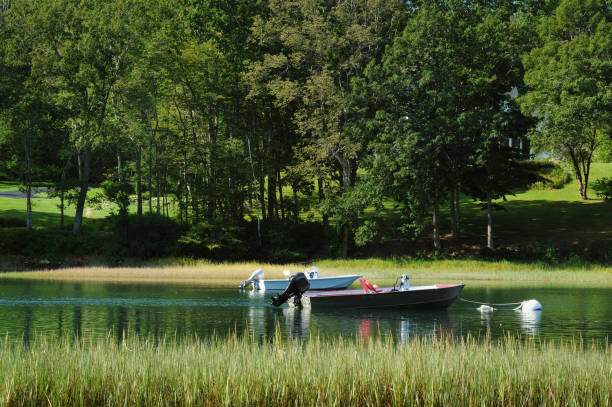 Two small motorboats moored in calm water with sea grass in foreground