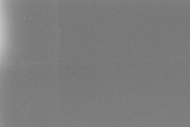 リアル400イソ 白黒フィルムグレインスキャン背景 - 穀草 ストックフォトと画像